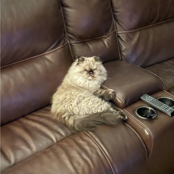 Meet your Posher, Marnie - Picture 7 of 17